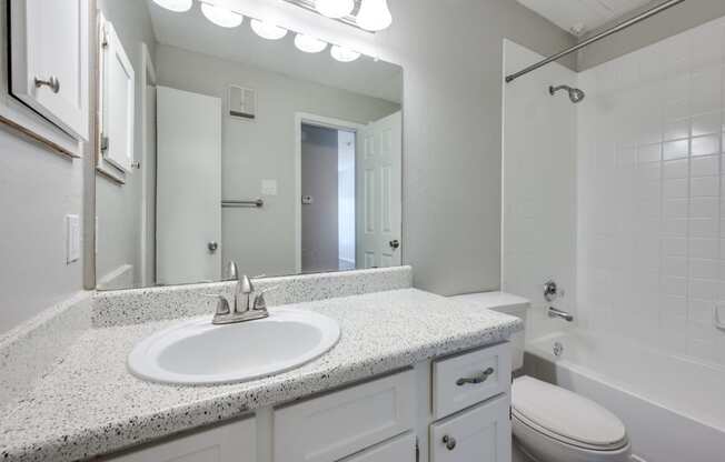 a bathroom with a sink and a toilet and a mirror