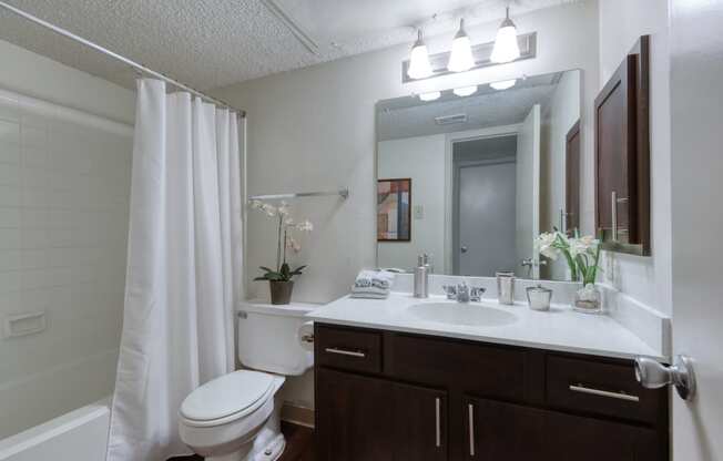 a bathroom with a toilet sink mirror and bathtub