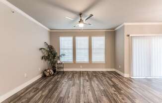 A room with a ceiling fan and a plant.