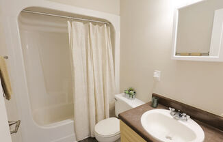 A bathroom with a toilet, sink, and shower.