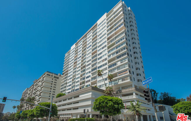 Studio, 1 bath, 600 sqft, $3,495, Unit 1012