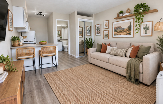 Studio, 1 bath, 250 sqft, $1,030, Unit 162