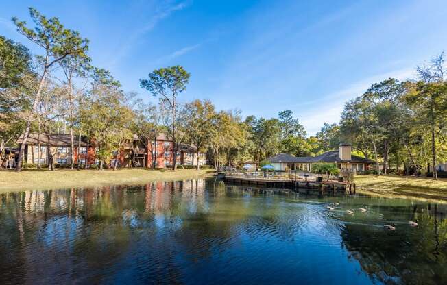 Lake side view at Northlake Apartments, Jacksonville FL