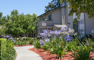 a sidewalk in front of an apartment building at Campbell West, California, 95008