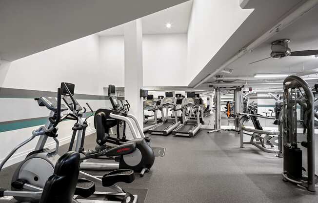 a gym with cardio equipment and weights on the floor
