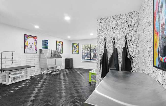 Woodmere Trace Apartments in Duluth, GA Pet Spa