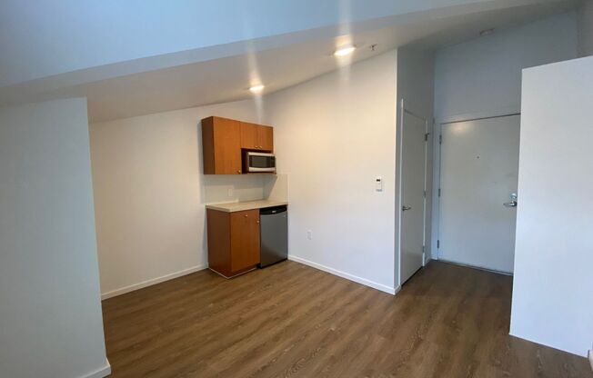 Studio, 1 bath, 175 sqft, $1,295, Unit 4501