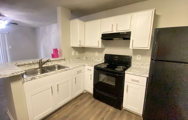 1 bed, 1 bath, 675 sqft, $875, Unit 1011