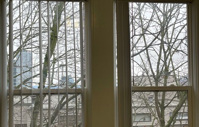 Studio, 1 bath, 300 sqft, $1,230, Unit 308
