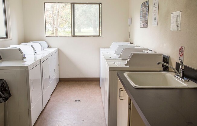 1 bed, 1 bath, 700 sqft, $1,440, Unit 0081