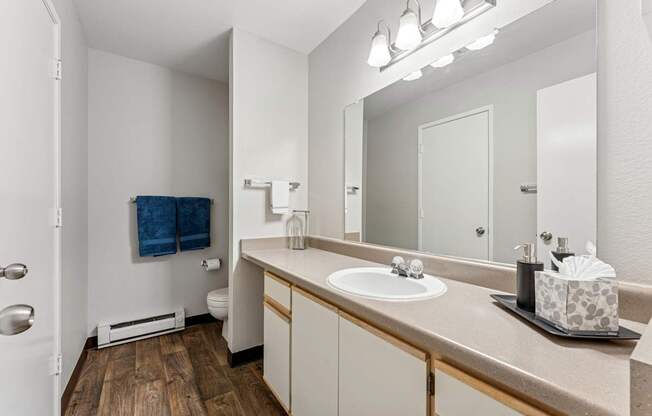 A bathroom with a white sink and a mirror.