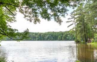 Lake With Lush Natural Surrounding at Lake Johnson Mews Apartments, PRG Real Estate Management, Raleigh, North Carolina