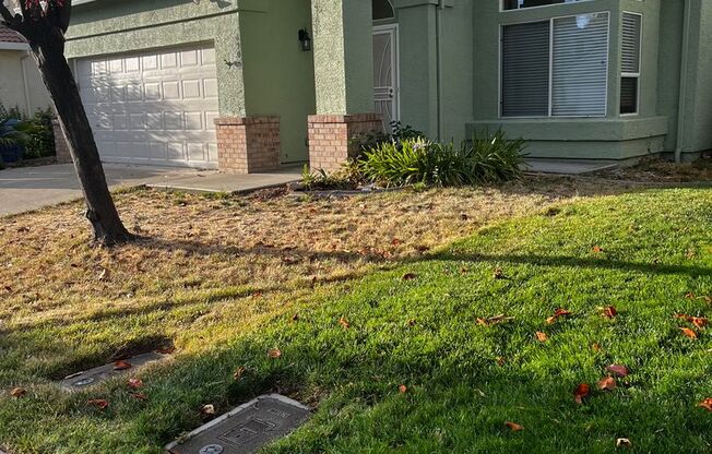 Beautiful 3/2 Laguna Park Home