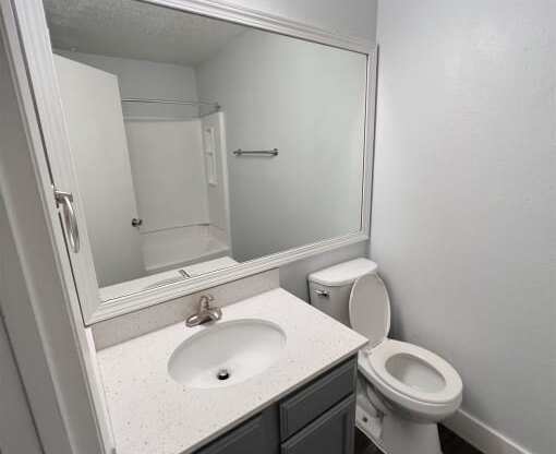 a bathroom with a sink toilet and a mirror