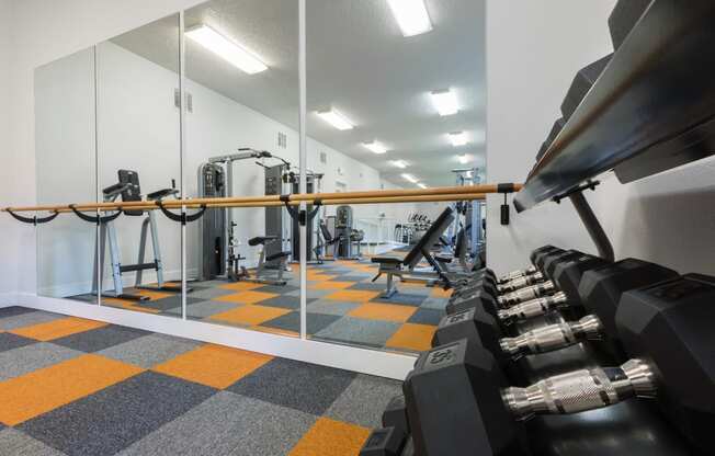 Free Weights In Gym at Valley West, San Jose, CA, 95122
