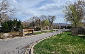 335 PEACH LN