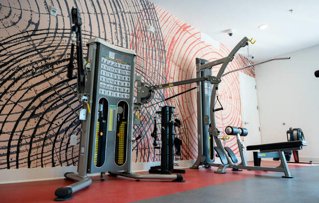 a gym with weights and other equipment and a mural on the wall at 20 Midtown, Birmingham, Alabama