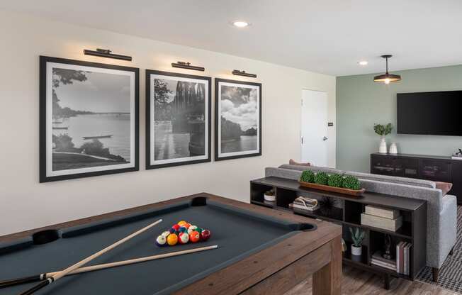 a games room with a pool table and a tv