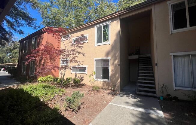 1 bed, 1 bath, $2,075