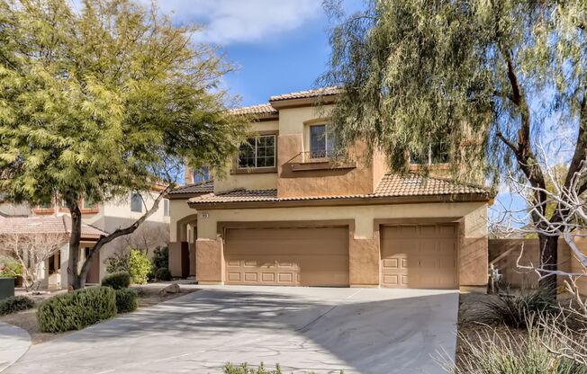 Henderson 4 Bedroom on Rising Mesa