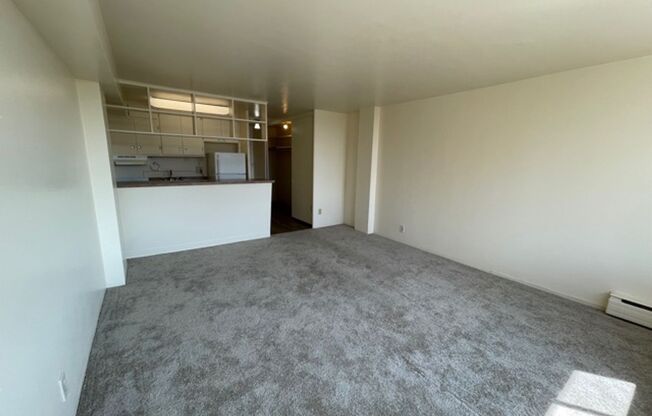 Studio, 1 bath, 375 sqft, $995, Unit 908