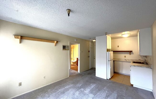 1BR/1BA North Park Condo - 55+ Community, Updated Bathroom, Freshly Painted, Onsite laundry, Craft Room, Gym, and TV Room!