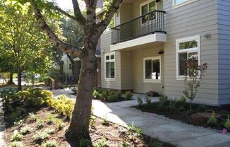 1 bed, 1 bath, 391 sqft, $1,195, Unit 207