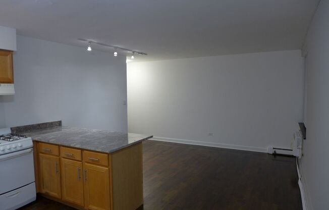 Studio, 1 bath, 475 sqft, $1,025, Unit 203