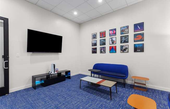 Media & Entertainment Room