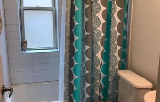 Studio, 1 bath, $1,450, Unit 5E