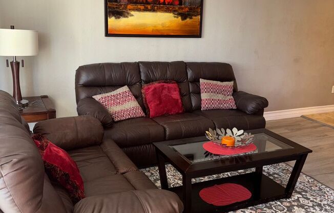 Meridian - Furnished 1 Bd / 1 Ba Luxury Condo (Move In Special: $1000 off 1st Months Rent)