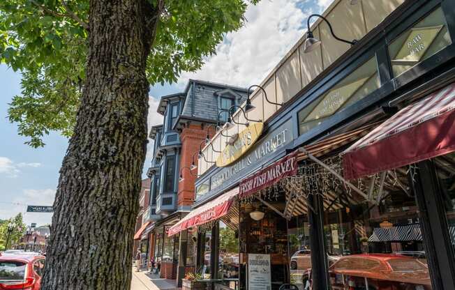 a tree in front of a building in downtown melroe with many shops and restaraunts