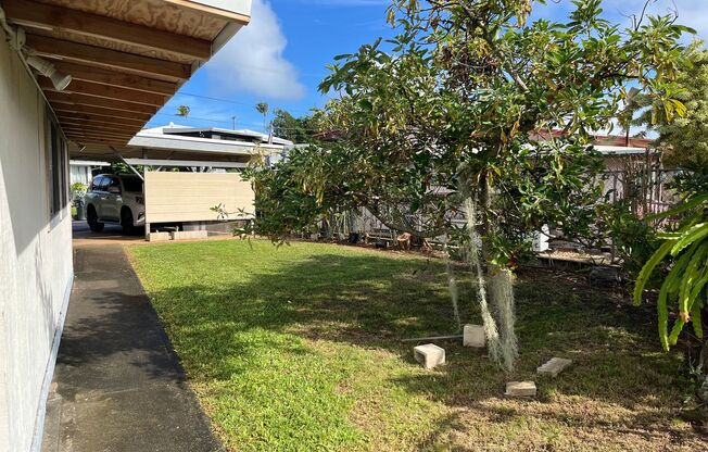 Wonderful Kaneohe 3 bedrooms, 1.5 bath House with Carport - Avail now!