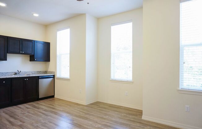 Studio, 1 bath, 356 sqft, $1,295, Unit 1-100