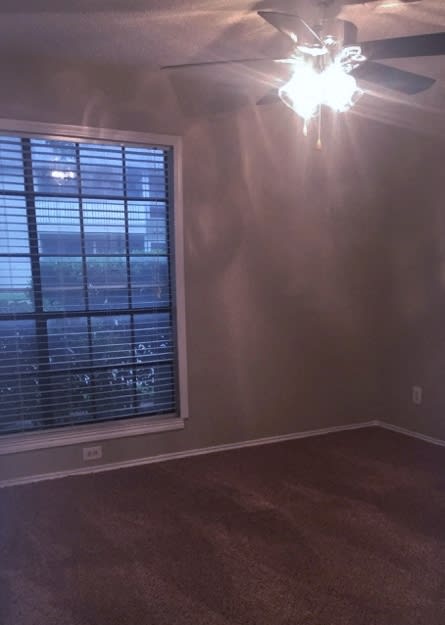 carpet bedroom with long windows