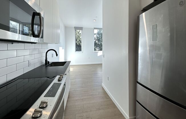 Studio, 1 bath, 342 sqft, $1,246.88, Unit 208