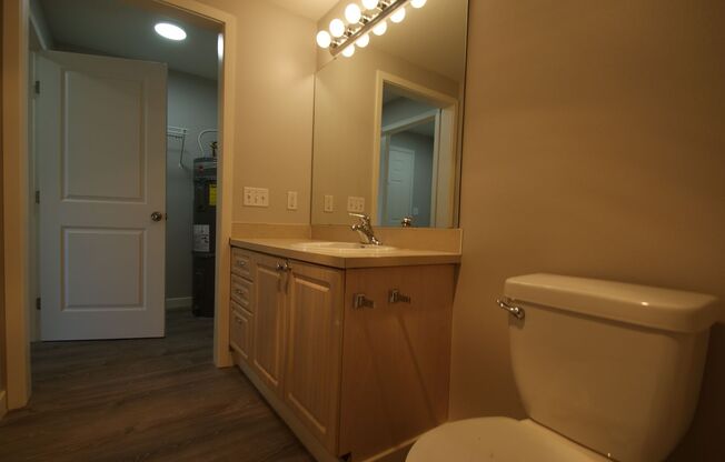 Studio, 1 bath, 413 sqft, $1,150, Unit 402