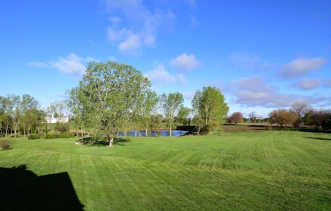 Large Acreage 5/5 with Pond!