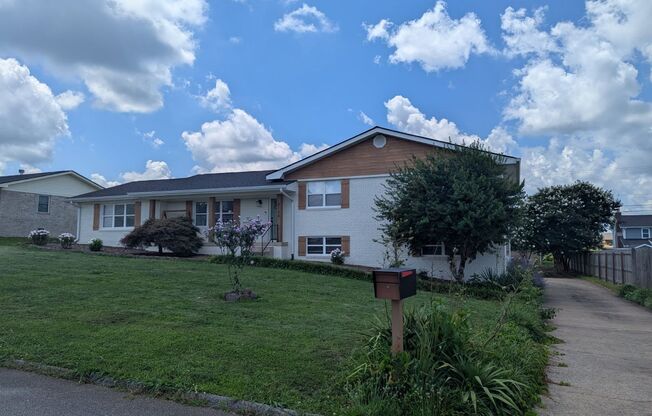 NICE SPACIOUS House in Holly Hills