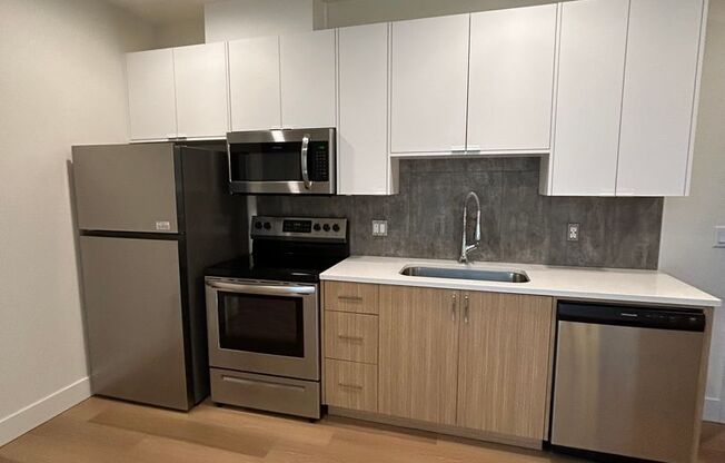 1 bed, 1 bath, 360 sqft, $1,395, Unit 206