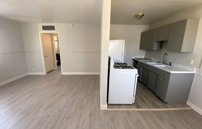 SPACIOUS 1 BED 1 BATH 540 SQ FT APARTMENT SUPER CLOSE TO THE STRIP AND NORTH PREMIUM OUTLETS MALL, NEAR MANY RESTURANTS AND GROCERY STORES
