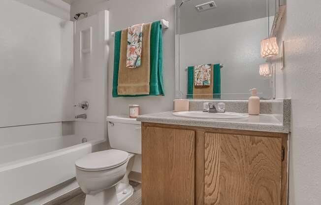 Bathroom With Vanity & Shower With Tub