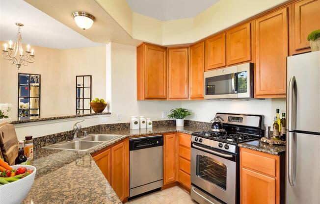 kitchen with stainless steel appliances