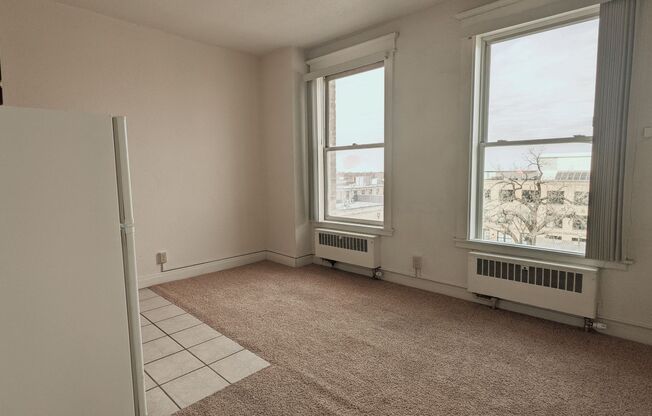 Studio, 1 bath, 200 sqft, $445, Unit 522