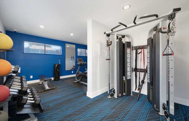 a gym with weights machines and other exercise equipment in a room with a blue wall