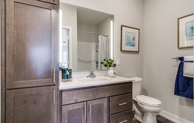 Master Bathroom at 24 at Bloomfield, Bloomfield Hills, MI, 48302