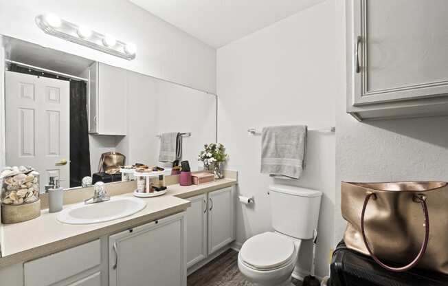a bathroom with a sink and a toilet and a mirror