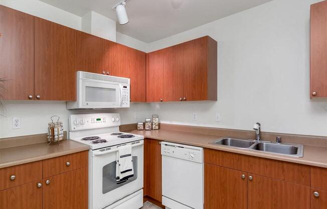 Lots of Counter and Cabinet Space