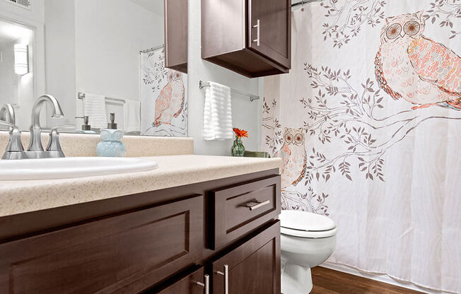 a bathroom with a toilet and a sink and a shower