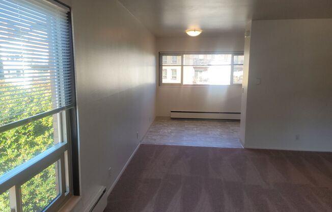 Spring Apartments